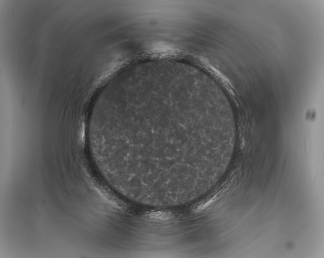 X0000094910067200712201207