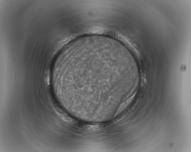 X0000094910068200712201207