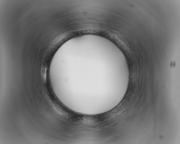 X0000094910070200712201207