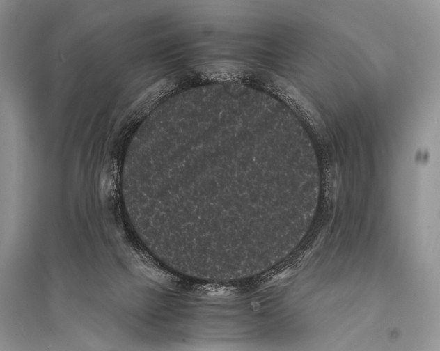 X0000094910073200712201207