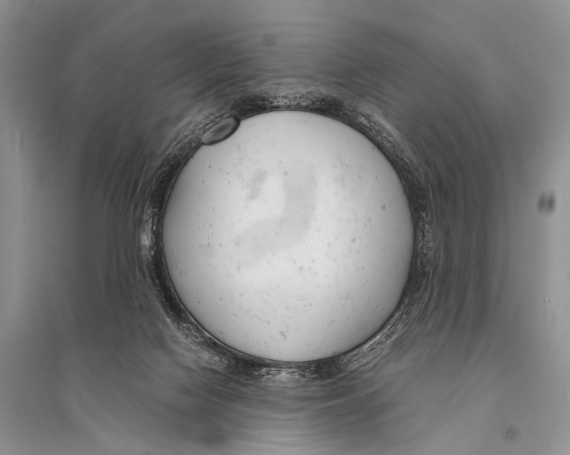 X0000094910074200712201207