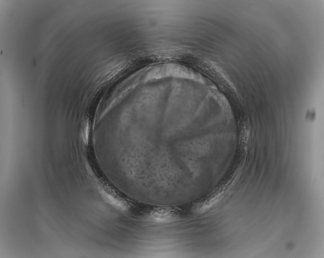 X0000094910076200712201207