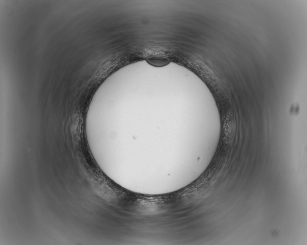 X0000094910079200712201207