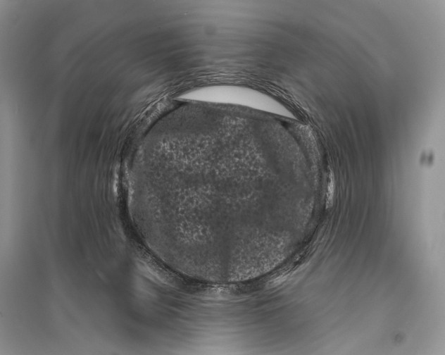 X0000094910080200712201207