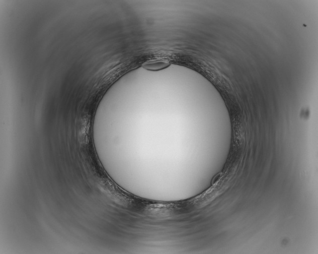 X0000094910082200712201207