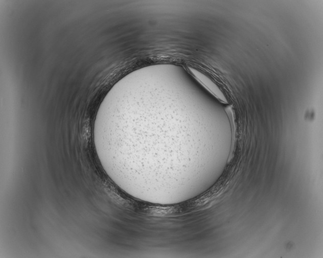 X0000094910085200712201207