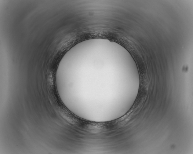 X0000094910086200712201207