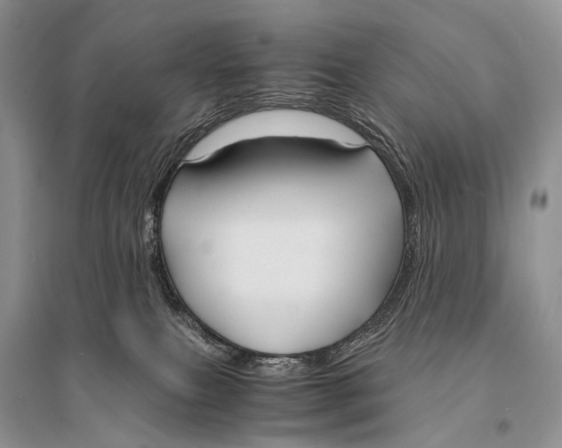 X0000094910087200712201207