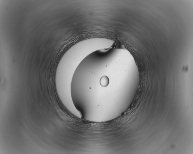 X0000094910088200712201207