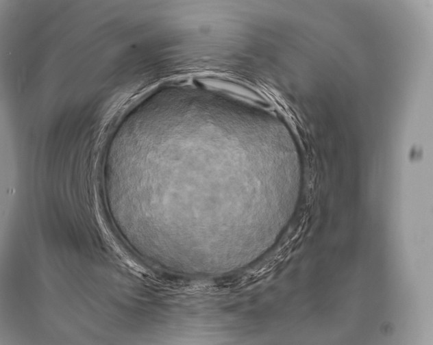 X0000094910097200712201206