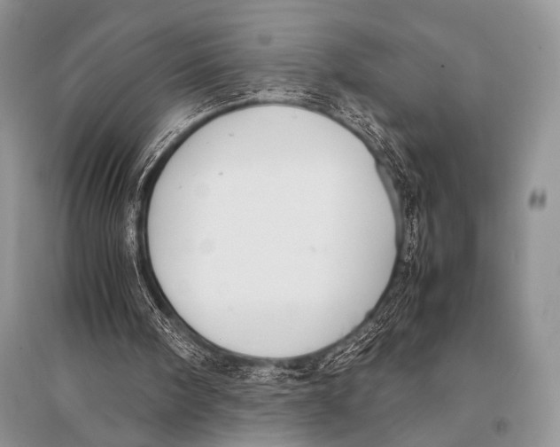 X0000094910098200712201206