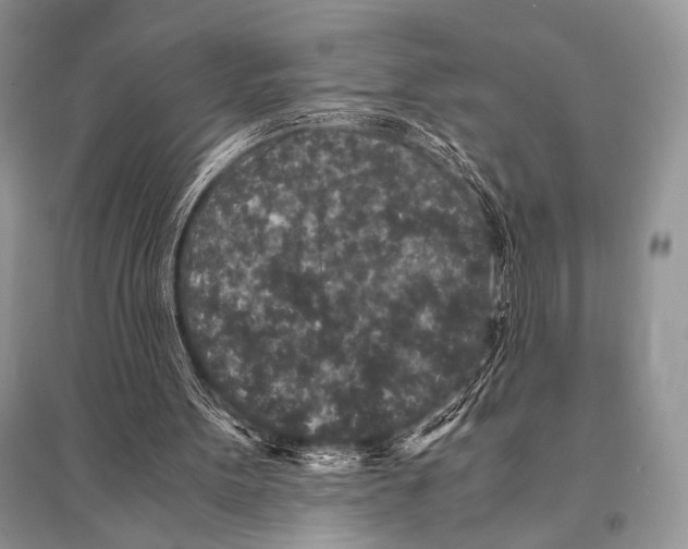 X0000094910099200712201206