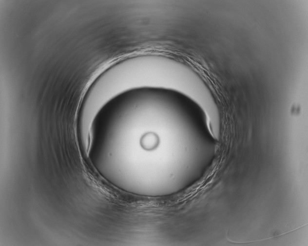 X0000094910100200712201206