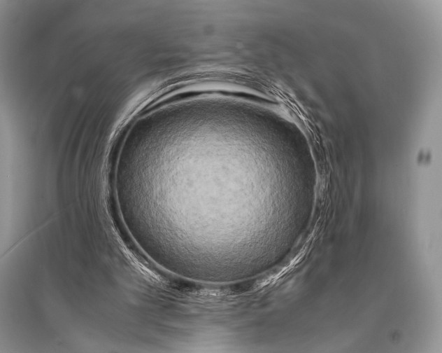 X0000094910101200712201206