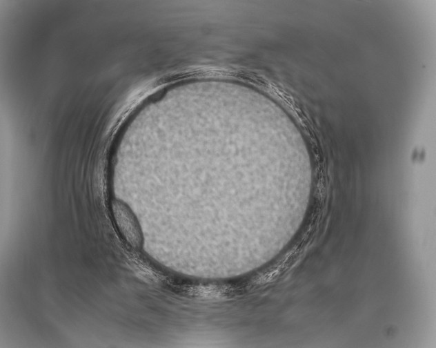 X0000094910103200712201206