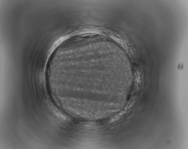 X0000094910104200712201206