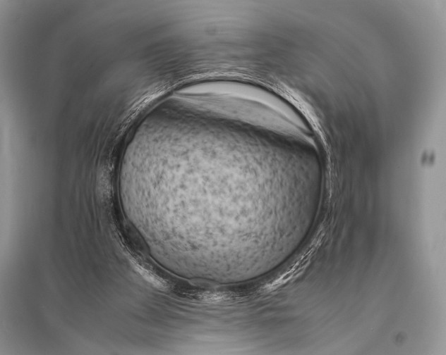 X0000094910105200712201206