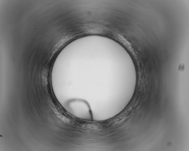 X0000094910106200712201206