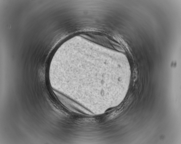 X0000094910108200712201206