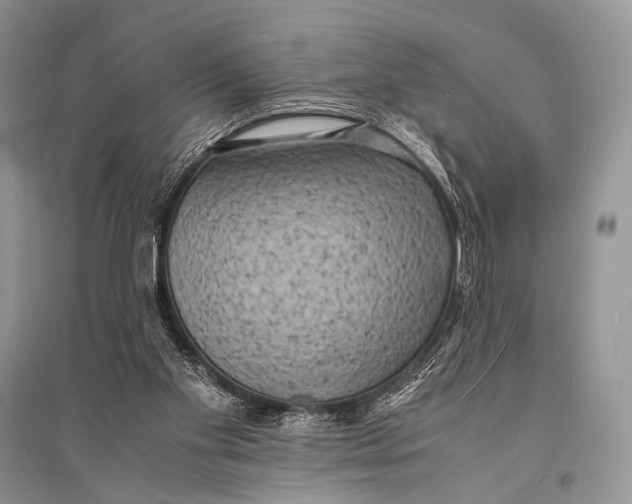 X0000094910109200712201206