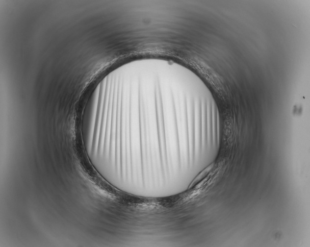 X0000094910112200712201206