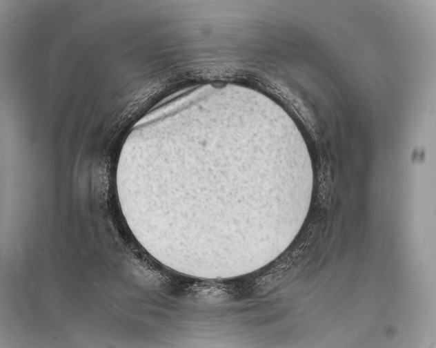 X0000094910113200712201206