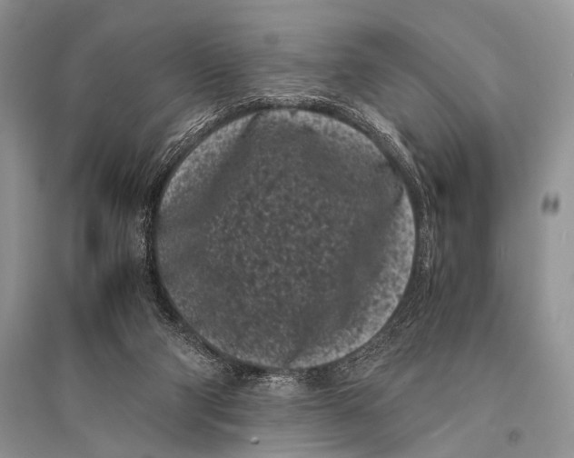 X0000094910114200712201206