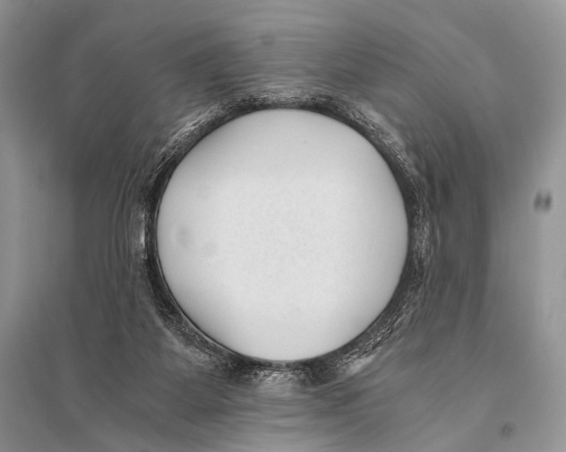 X0000094910115200712201206