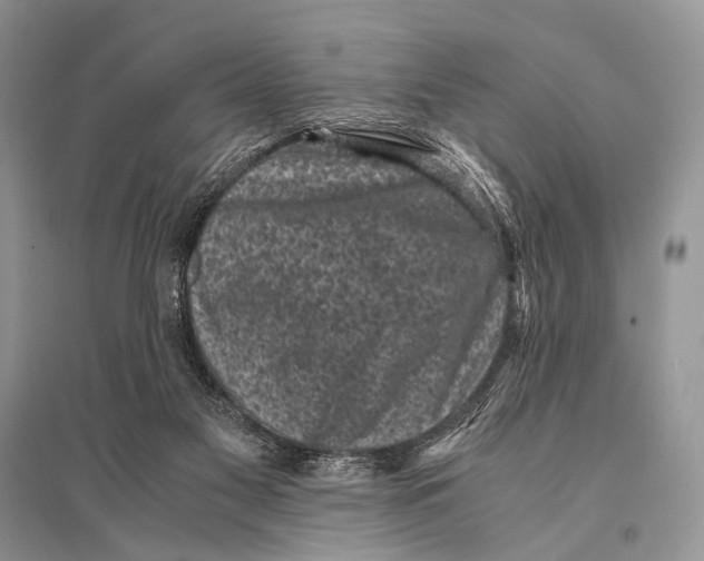 X0000094910117200712201206