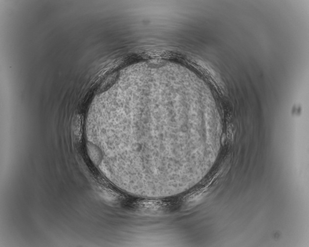 X0000094910121200712201206