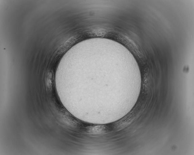 X0000094910122200712201206