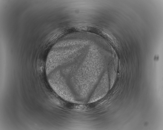 X0000094910125200712201206