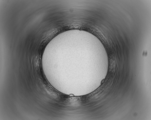 X0000094910126200712201206