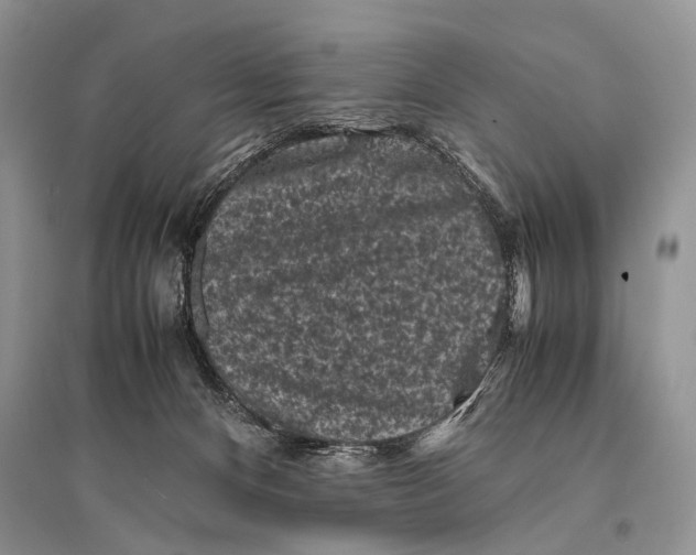 X0000094910128200712201206