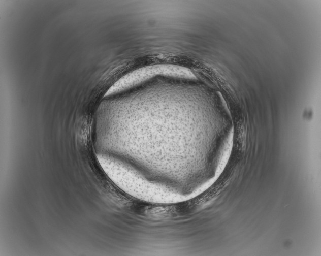 X0000094910129200712201206