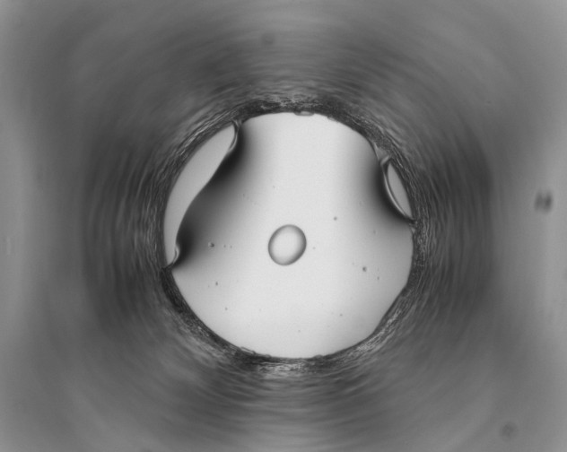 X0000094910132200712201206