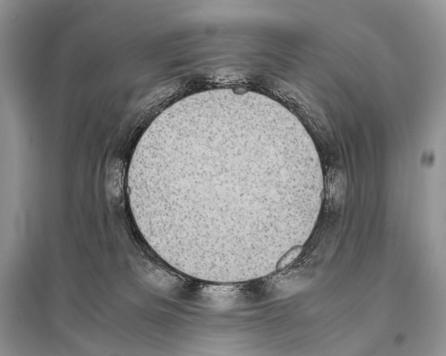 X0000094910133200712201206