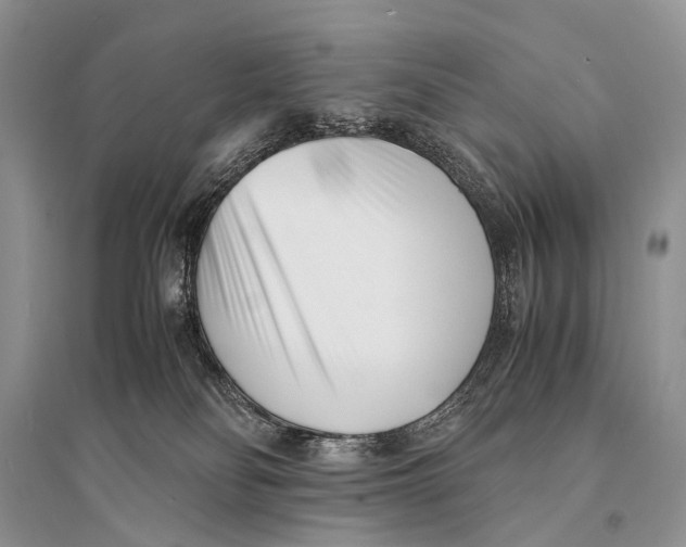 X0000094910134200712201206