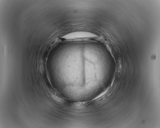 X0000094910136200712201206