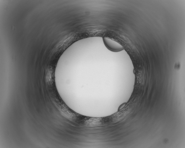 X0000094910138200712201206