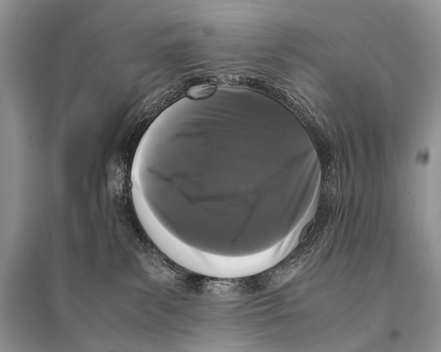 X0000094910139200712201206