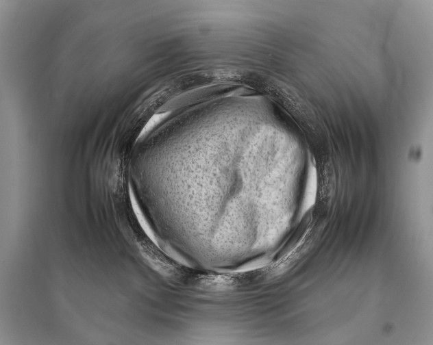 X0000094910140200712201206