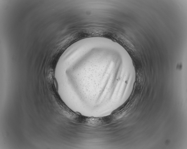 X0000094910141200712201206