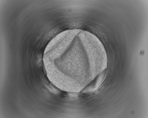 X0000094910144200712201206