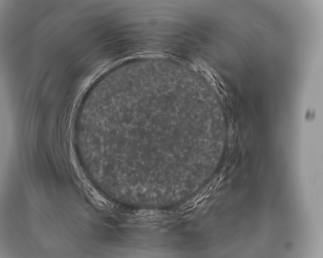 X0000094910145200712201205