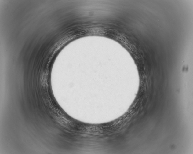 X0000094910146200712201205