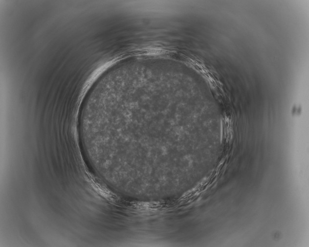 X0000094910147200712201205