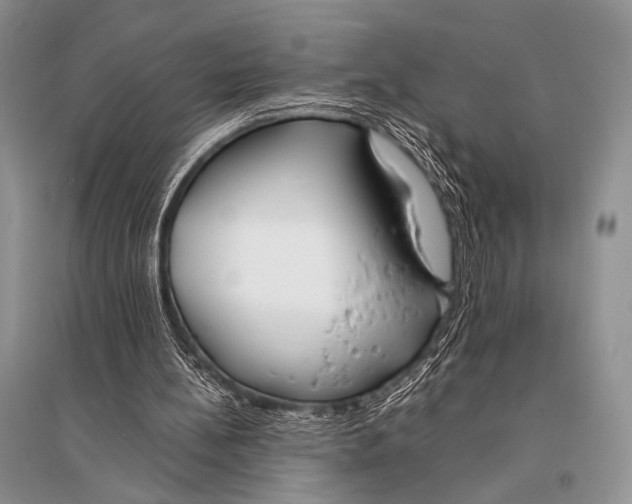 X0000094910148200712201205