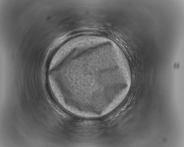 X0000094910149200712201205