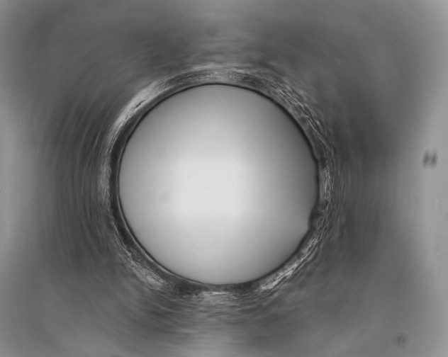 X0000094910150200712201205